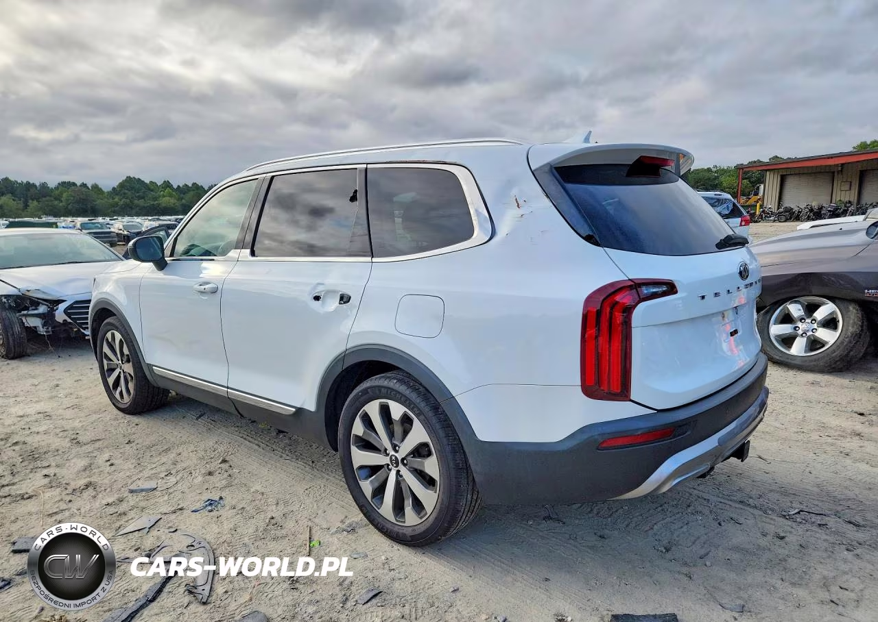 2020 Kia Telluride Ex VIN:5XYP34HC3LG079951 - 2