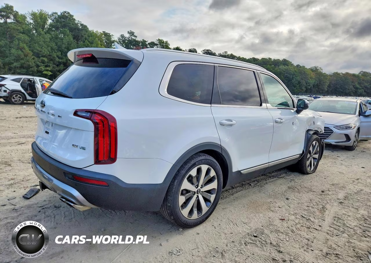 2020 Kia Telluride Ex VIN:5XYP34HC3LG079951 - 3