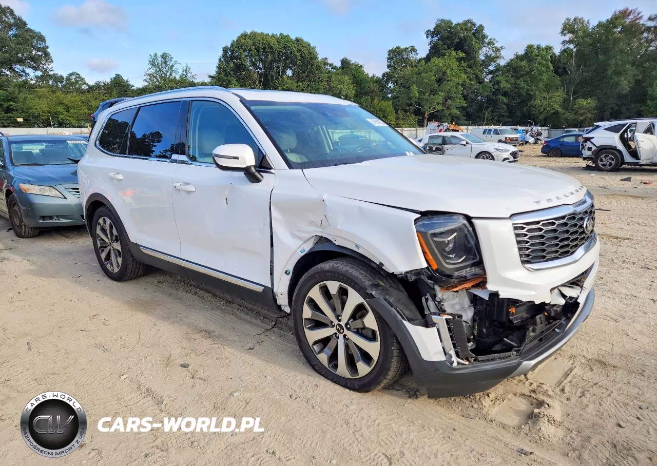 2020 Kia Telluride Ex VIN:5XYP34HC3LG079951 - 4