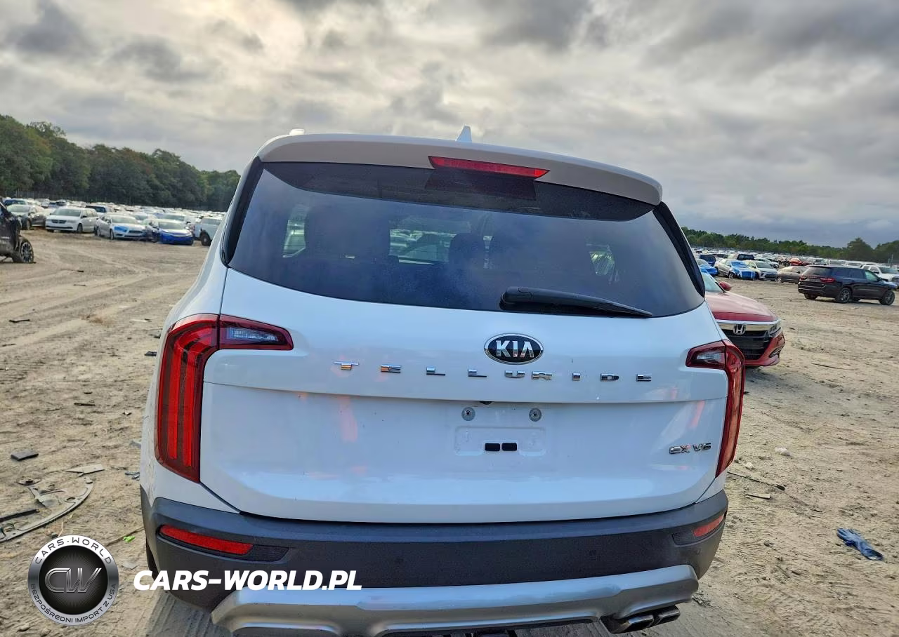 2020 Kia Telluride Ex VIN:5XYP34HC3LG079951 - 6