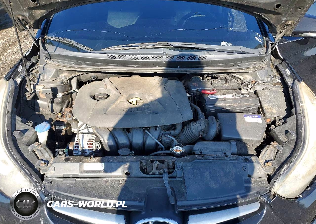 2015 Hyundai Elantra Sport VIN:KMHDH4AH3FU229971 - 11