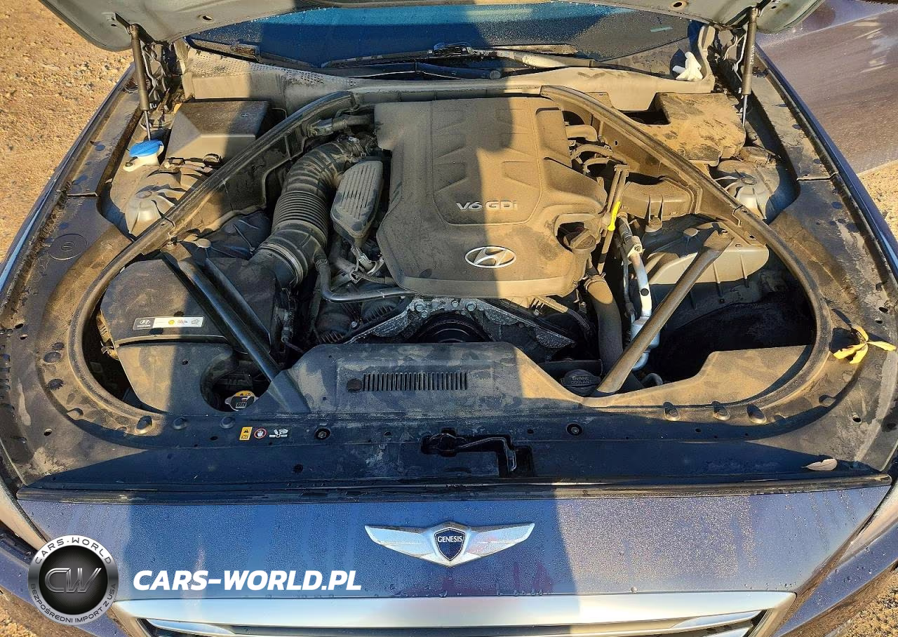 2015 Hyundai Genesis 3.8L VIN:KMHGN4JE2FU037534 - 11
