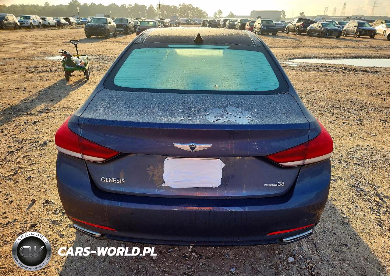 2015 Hyundai Genesis 3.8L VIN:KMHGN4JE2FU037534 - 6