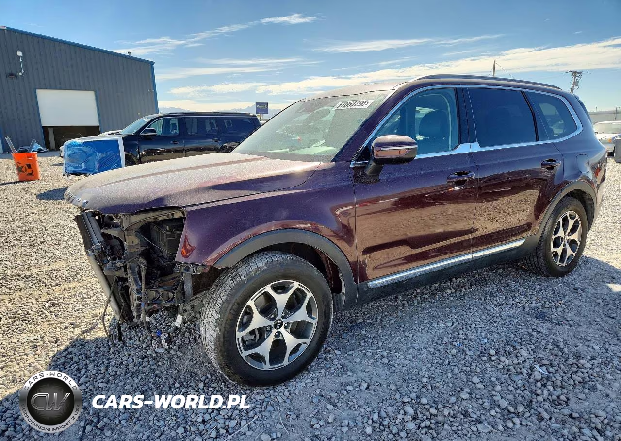 2020 Kia Telluride Ex VIN:5XYP3DHC9LG012268 - 1