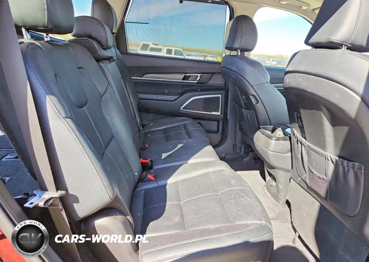 2020 Kia Telluride Ex VIN:5XYP3DHC9LG012268 - 10
