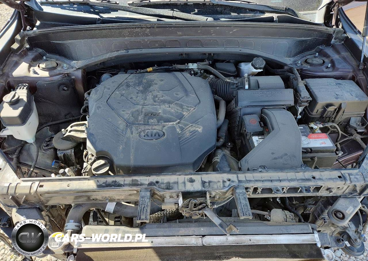 2020 Kia Telluride Ex VIN:5XYP3DHC9LG012268 - 11