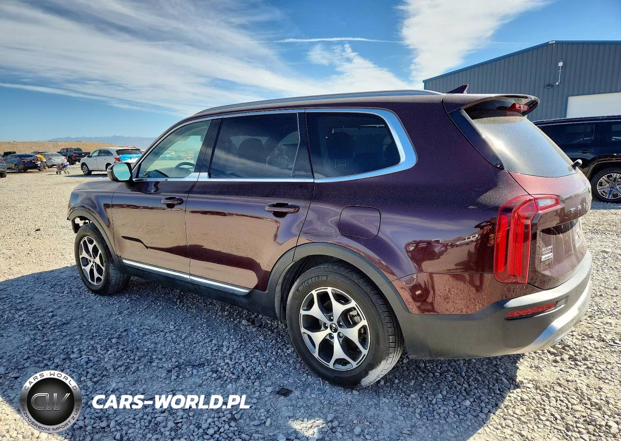 2020 Kia Telluride Ex VIN:5XYP3DHC9LG012268 - 2