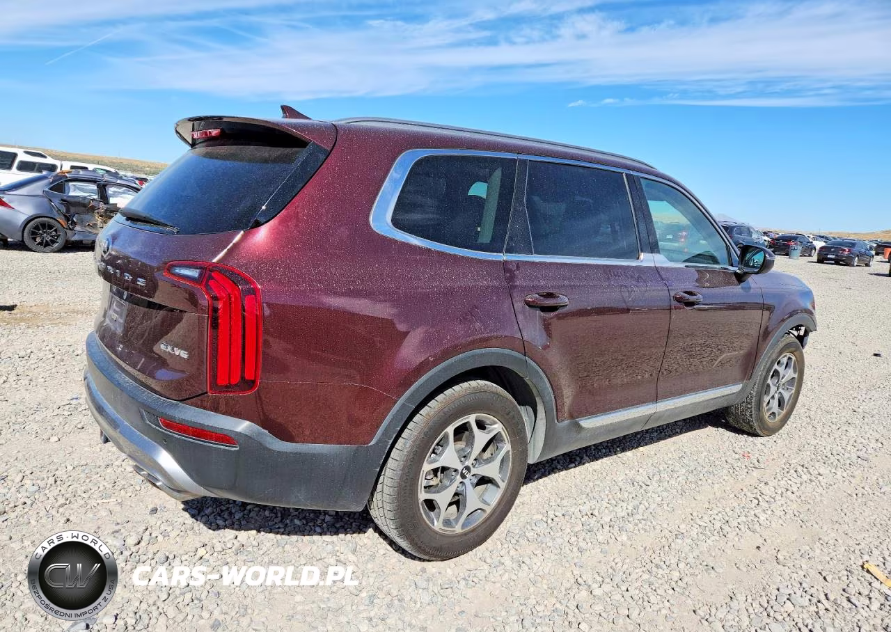 2020 Kia Telluride Ex VIN:5XYP3DHC9LG012268 - 3