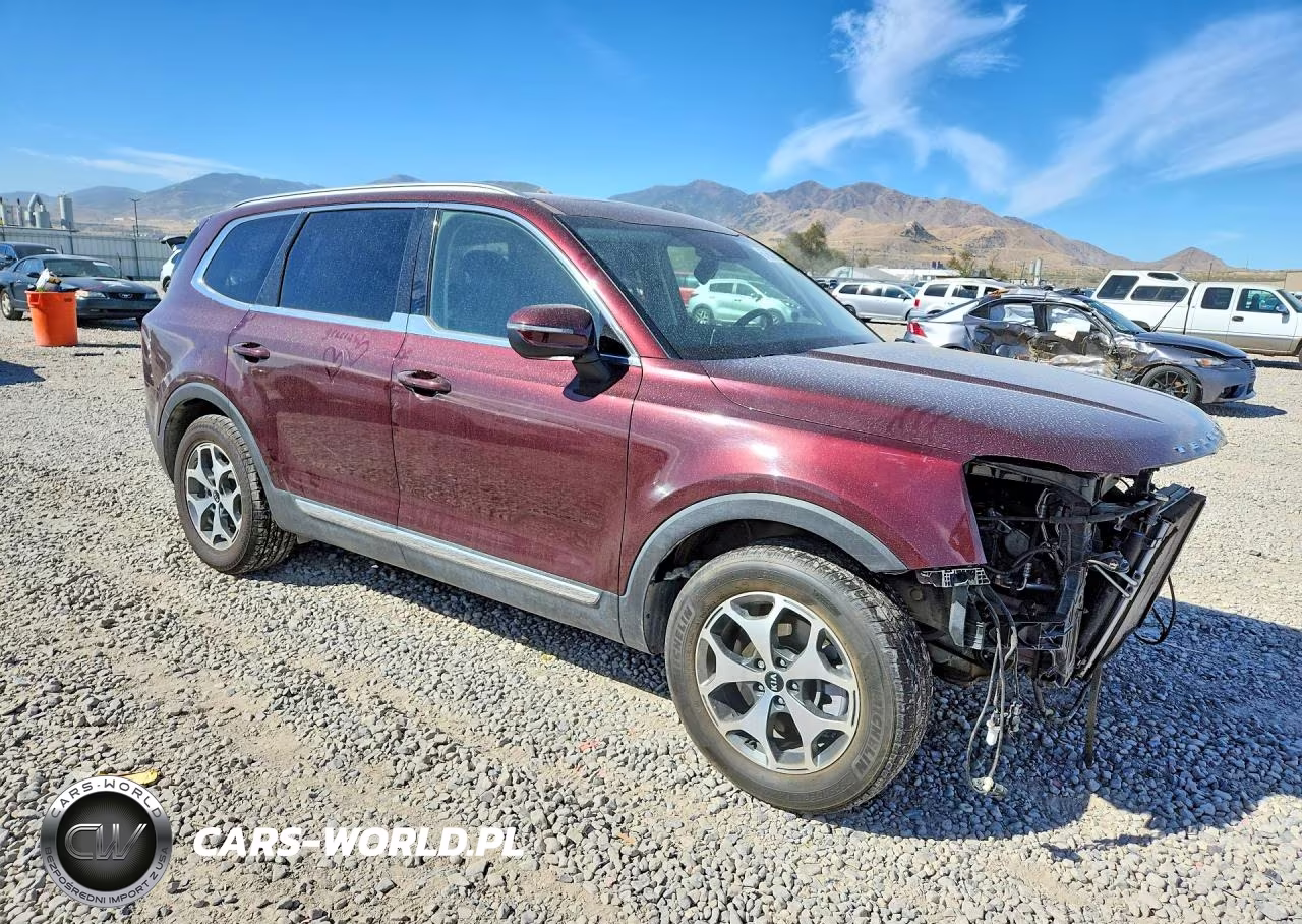 2020 Kia Telluride Ex VIN:5XYP3DHC9LG012268 - 4