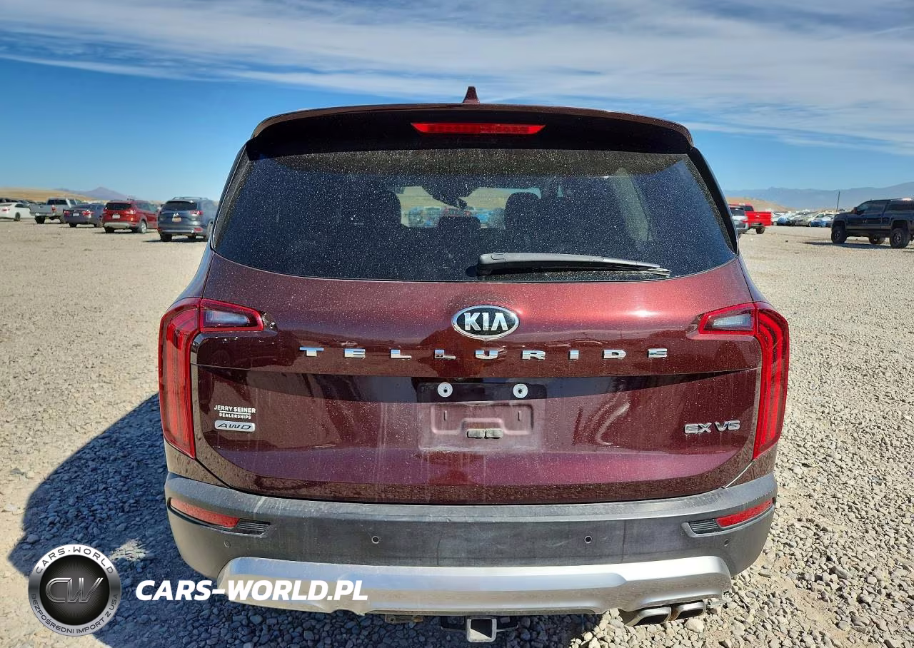 2020 Kia Telluride Ex VIN:5XYP3DHC9LG012268 - 6