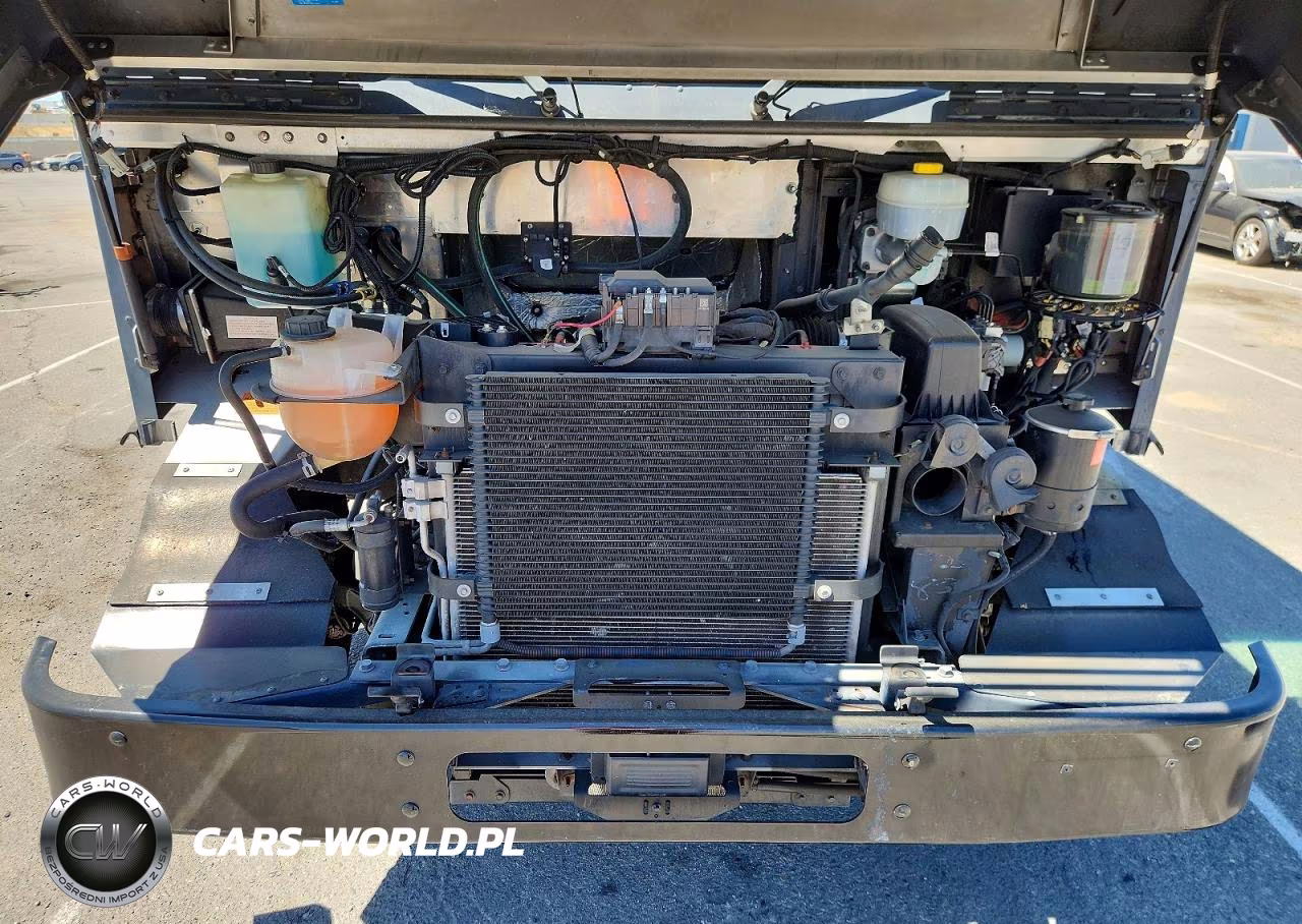 2020 Ford F59 Delivery Truck VIN:1F65F5KNXL0A08334 - 12
