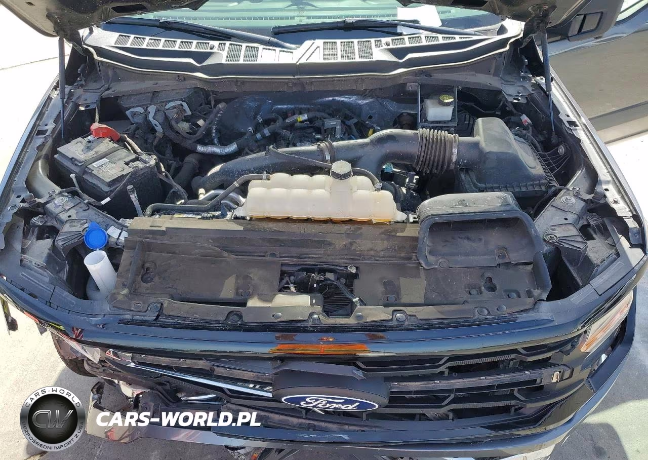2024 Ford F150 Xlt VIN:1FTEW3KPXRKD67943 - 11