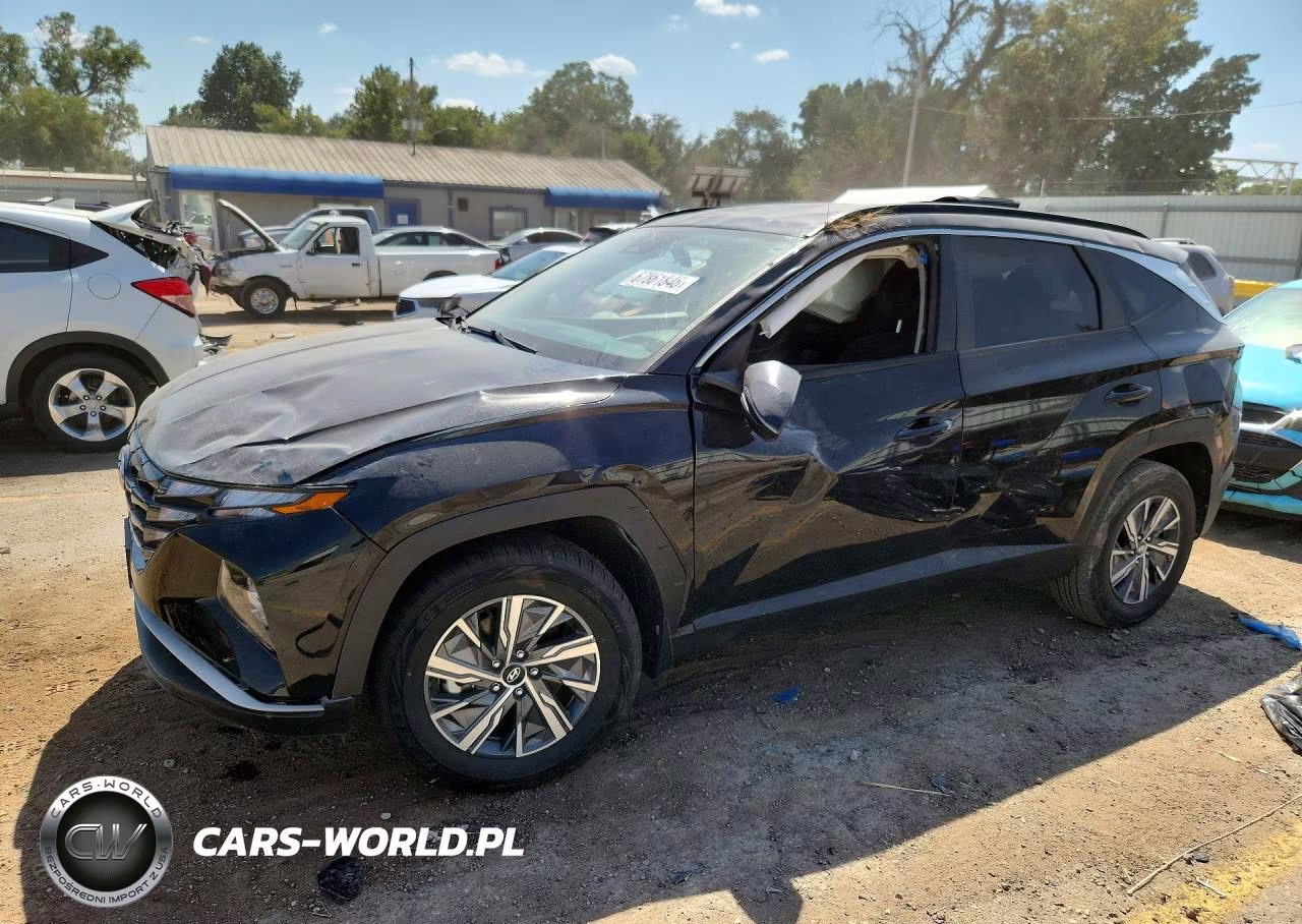 2023 Hyundai Tucson Blue