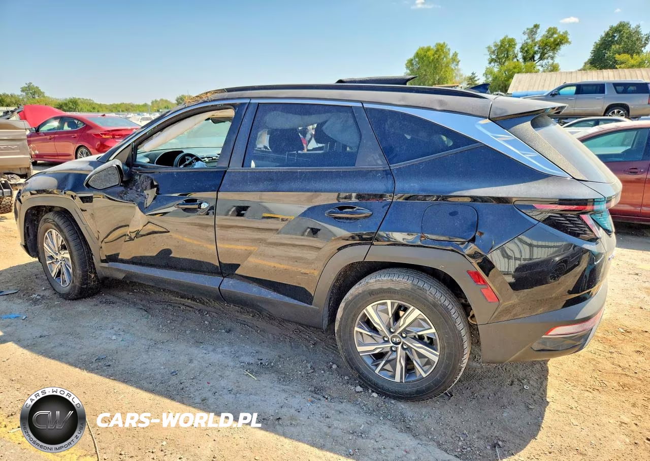 2023 Hyundai Tucson Blue VIN:KM8JBCA17PU090530 - 2