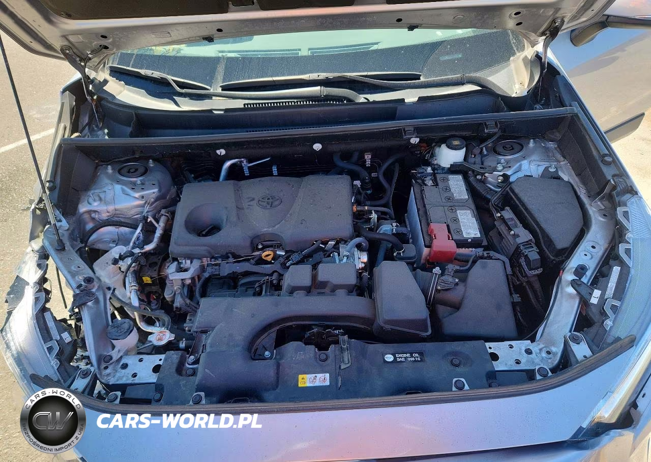 2023 Toyota Rav4 Xle VIN:2T3W1RFV8PC225501 - 11