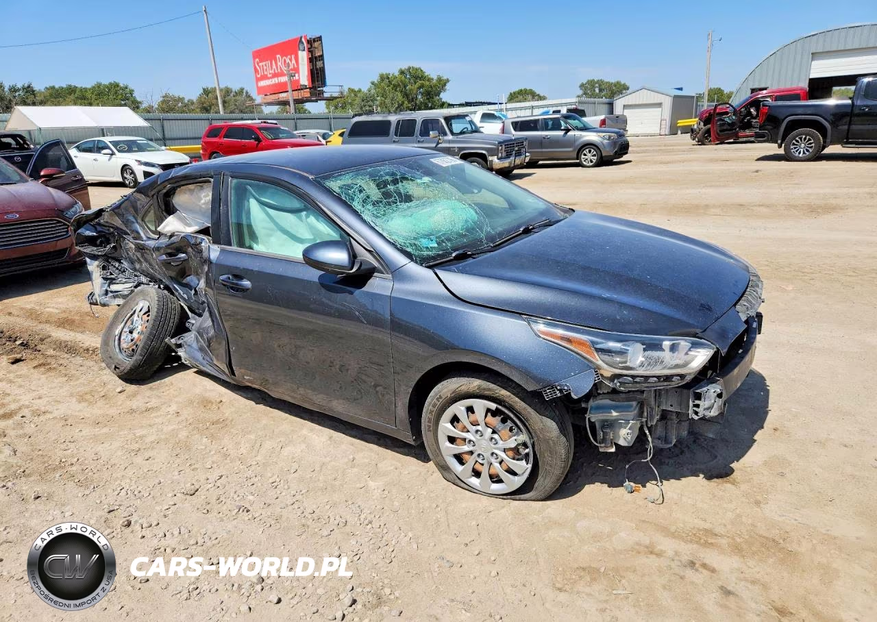 2019 Kia Forte Fe VIN:3KPF24AD1KE088175 - 4