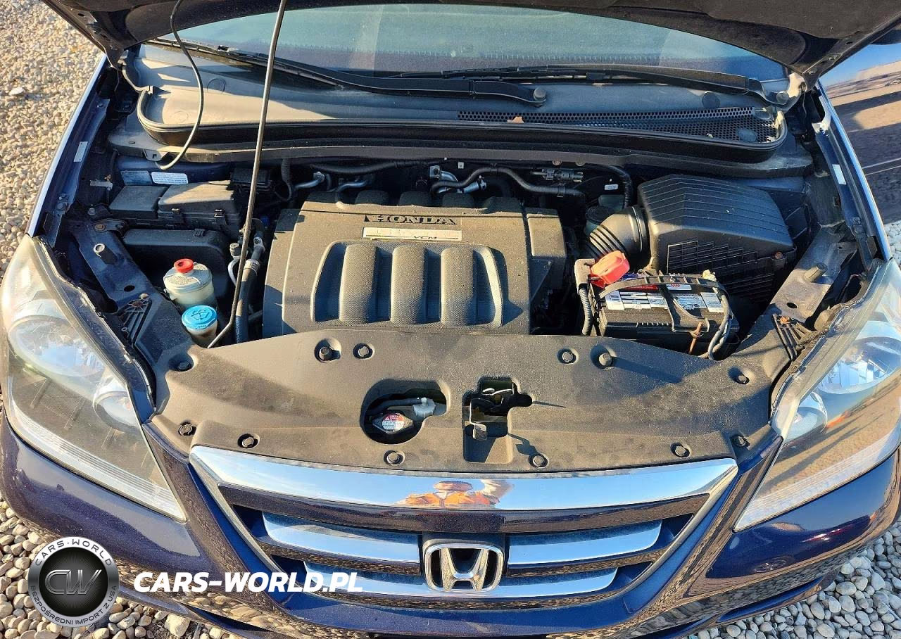 2006 Honda Odyssey Exl VIN:5FNRL387X6B071220 - 12