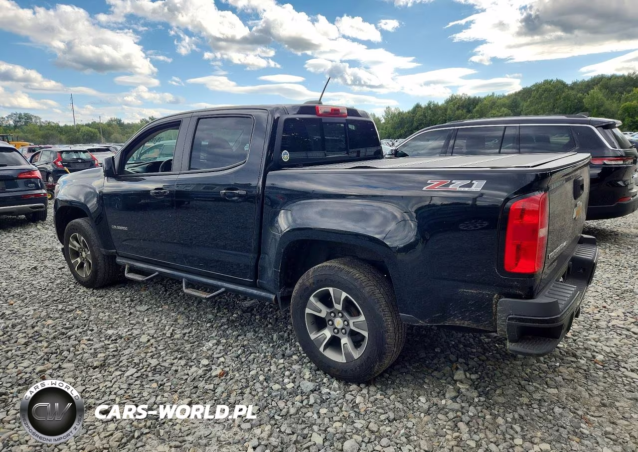 2019 Chevrolet Colorado Z71 VIN:1GCGTDENXK1322661 - 2