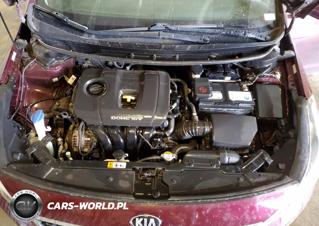 2017 Kia Forte Lx VIN:3KPFK4A78HE071716 - 11