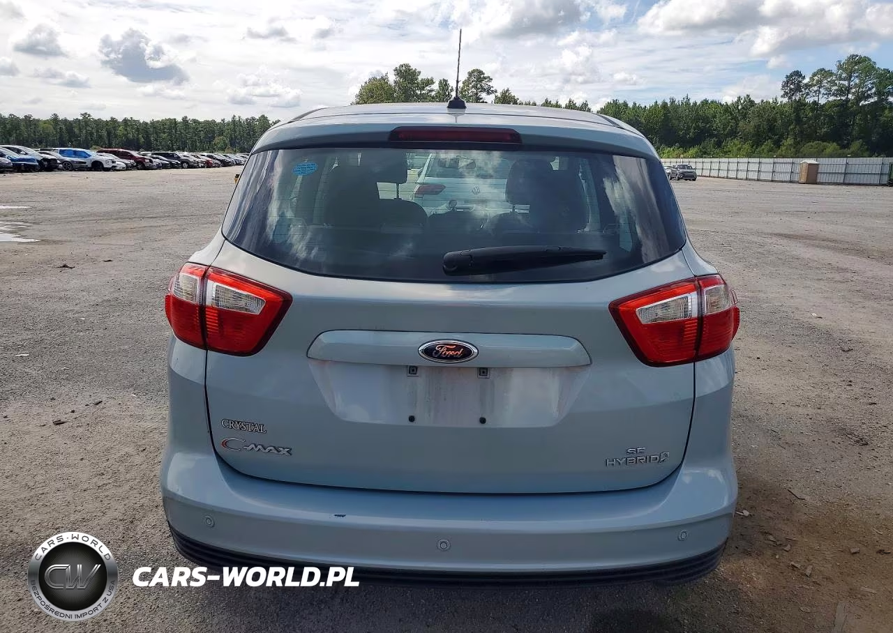 2013 Ford C-Max Se VIN:1FADP5AUXDL518106 - 6