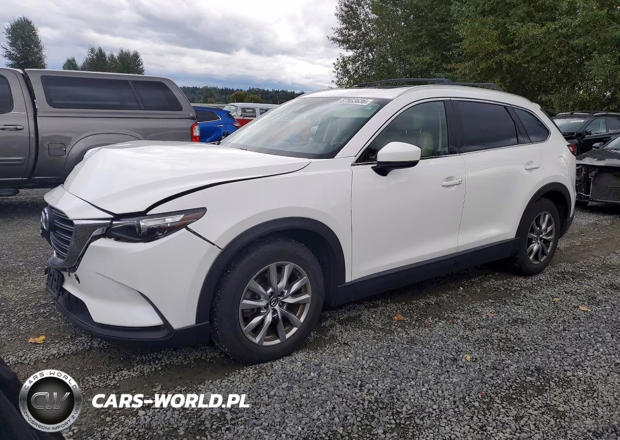2016 Mazda Cx-9 Touring VIN:JM3TCBCY2G0120465 - 1