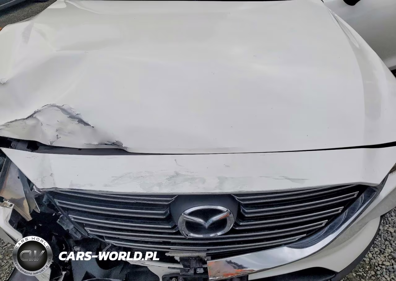 2016 Mazda Cx-9 Touring VIN:JM3TCBCY2G0120465 - 12