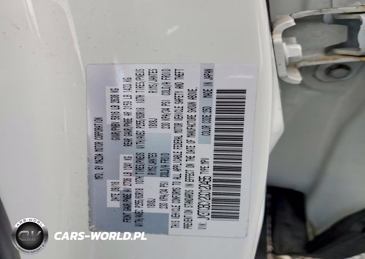 2016 Mazda Cx-9 Touring VIN:JM3TCBCY2G0120465 - 13