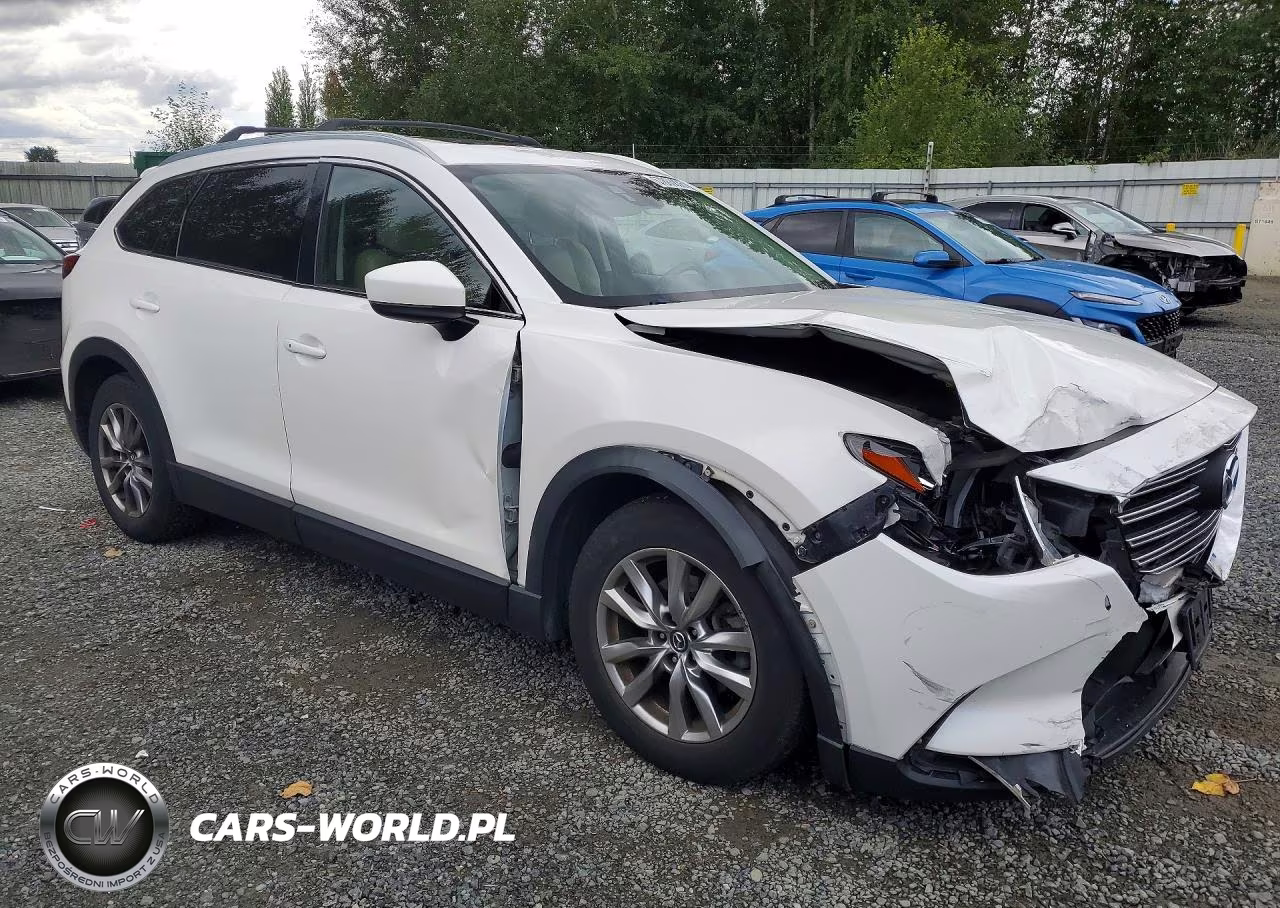 2016 Mazda Cx-9 Touring VIN:JM3TCBCY2G0120465 - 4