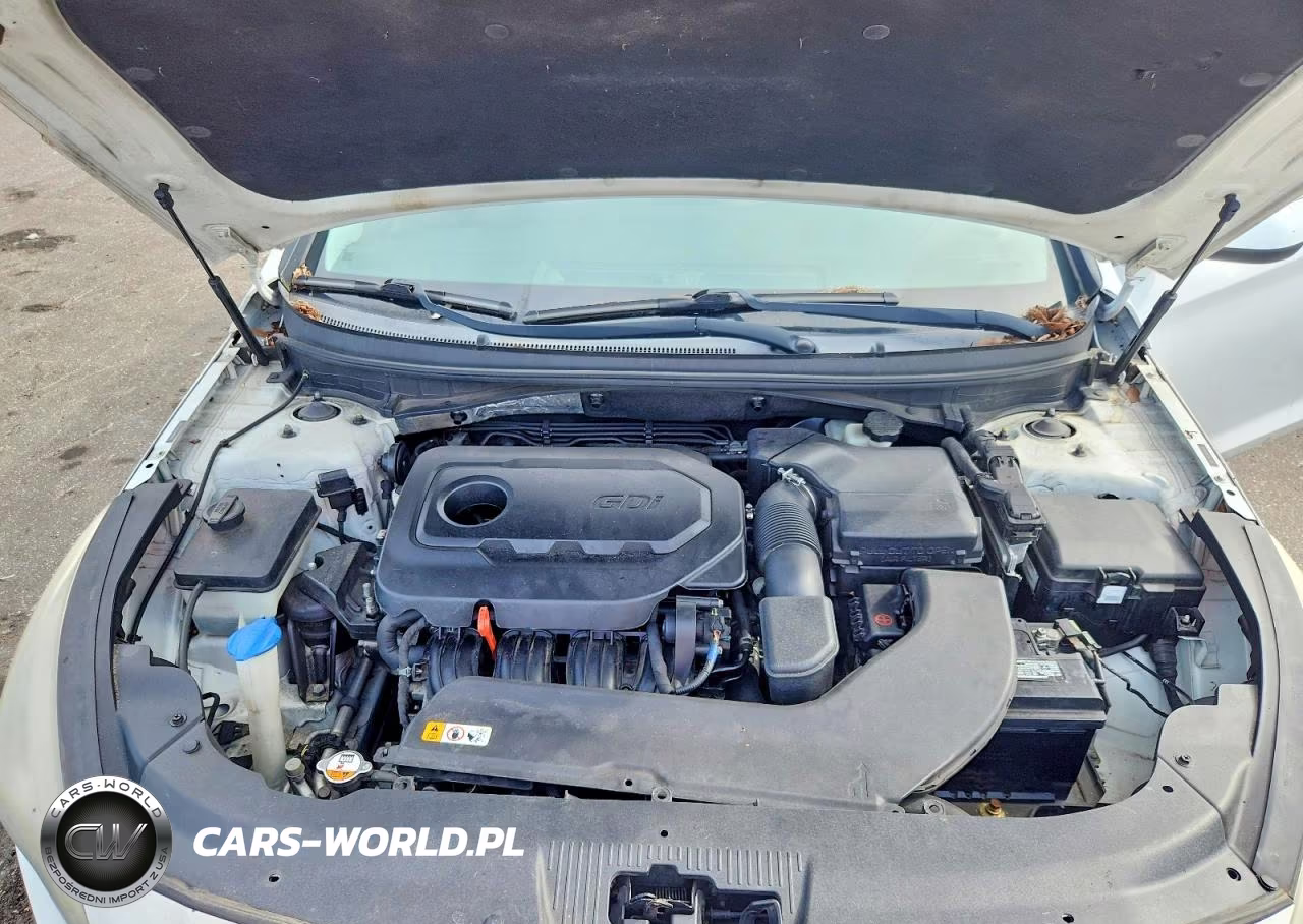 2017 Hyundai Sonata Se VIN:5NPE24AF2HH488909 - 11