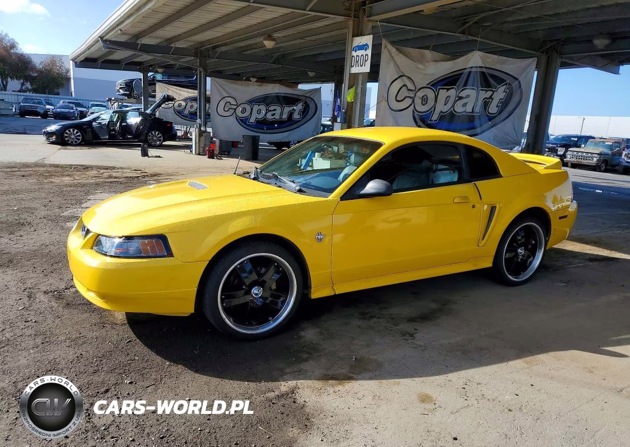 1999 Ford Mustang VIN:1FAFP4048XF114681 - 1