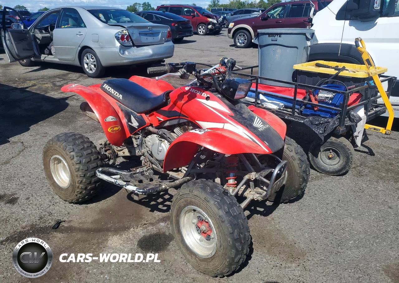 2003 Honda Sport Trax Atv – zdjęcie 1 z 10