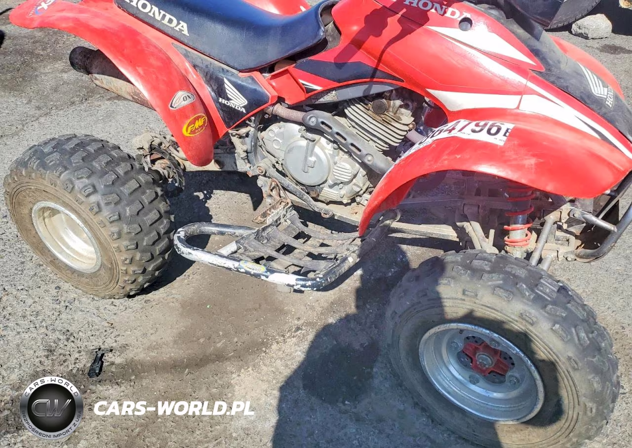 2003 Honda Sport Trax Atv VIN:JH3TE19093K808365 - 10