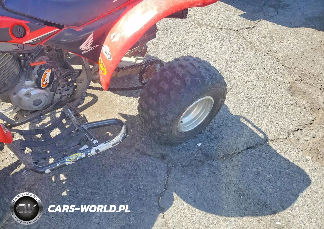 2003 Honda Sport Trax Atv VIN:JH3TE19093K808365 - 9