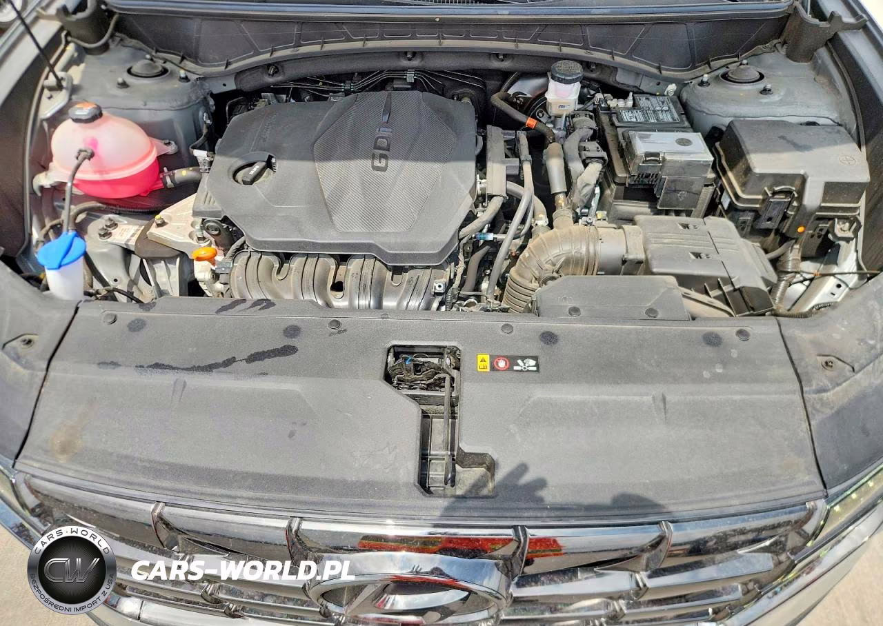 2024 Hyundai Tucson Limited VIN:5NMJE3DE8RH304316 - 11