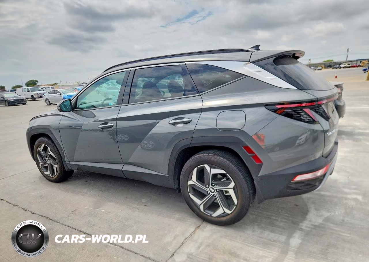 2024 Hyundai Tucson Limited VIN:5NMJE3DE8RH304316 - 2