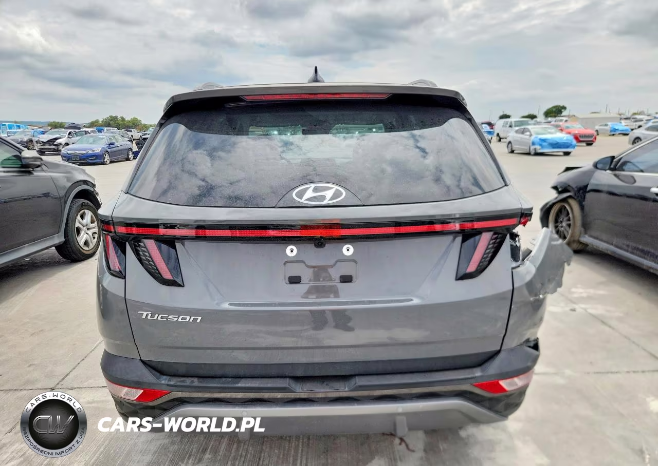 2024 Hyundai Tucson Limited VIN:5NMJE3DE8RH304316 - 6