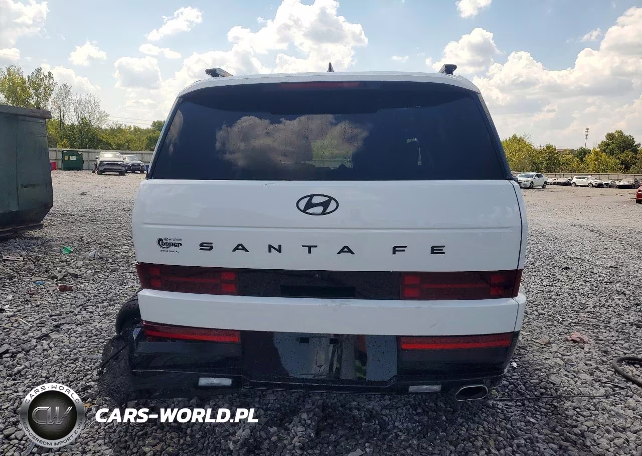2026 Hyundai Santa Fe Calligraphy VIN:5NMP54GL5TH181401 - 6
