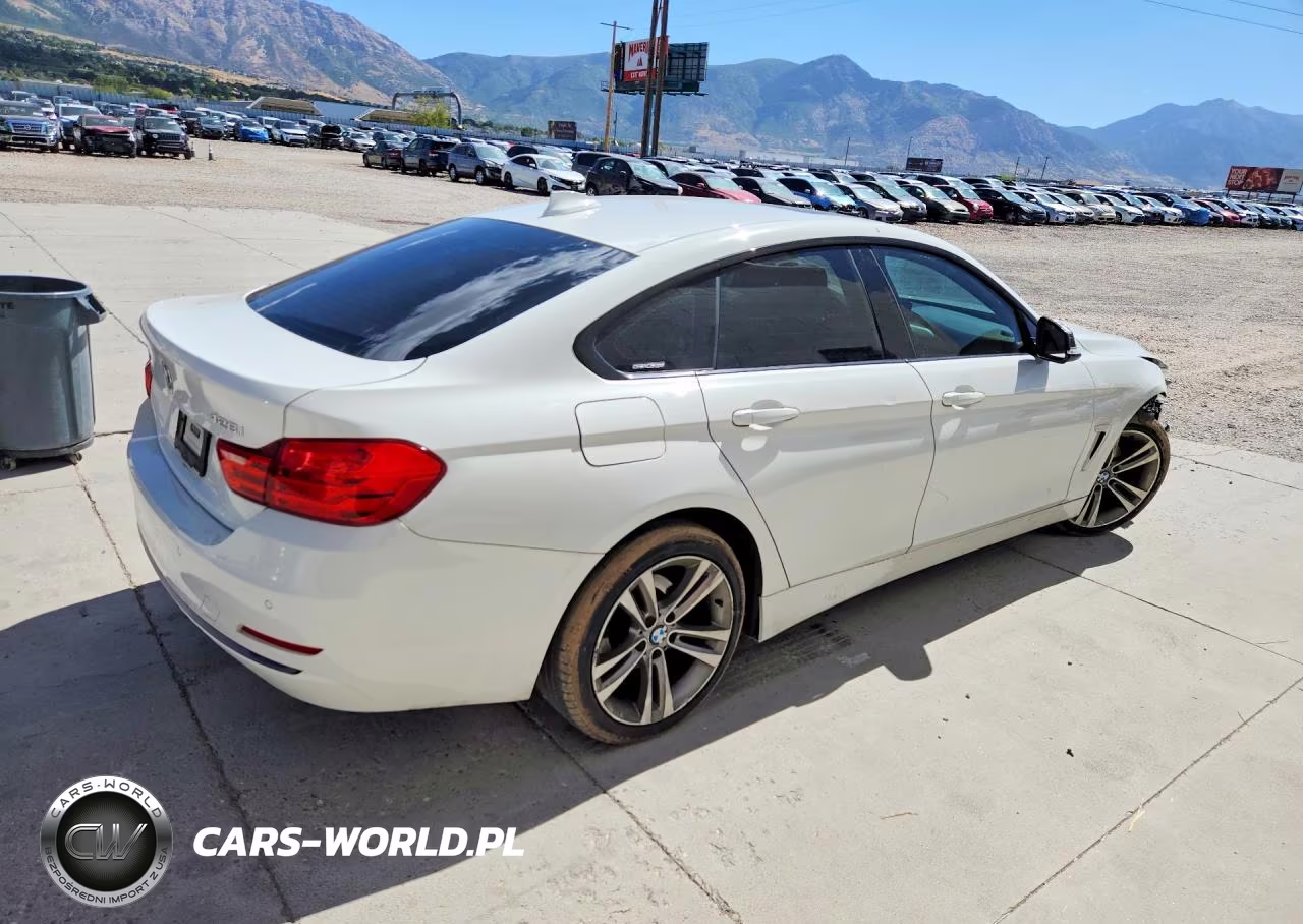 2015 BMW 428 Xi Gran Coupe VIN:WBA4A7C55FD413304 - 3