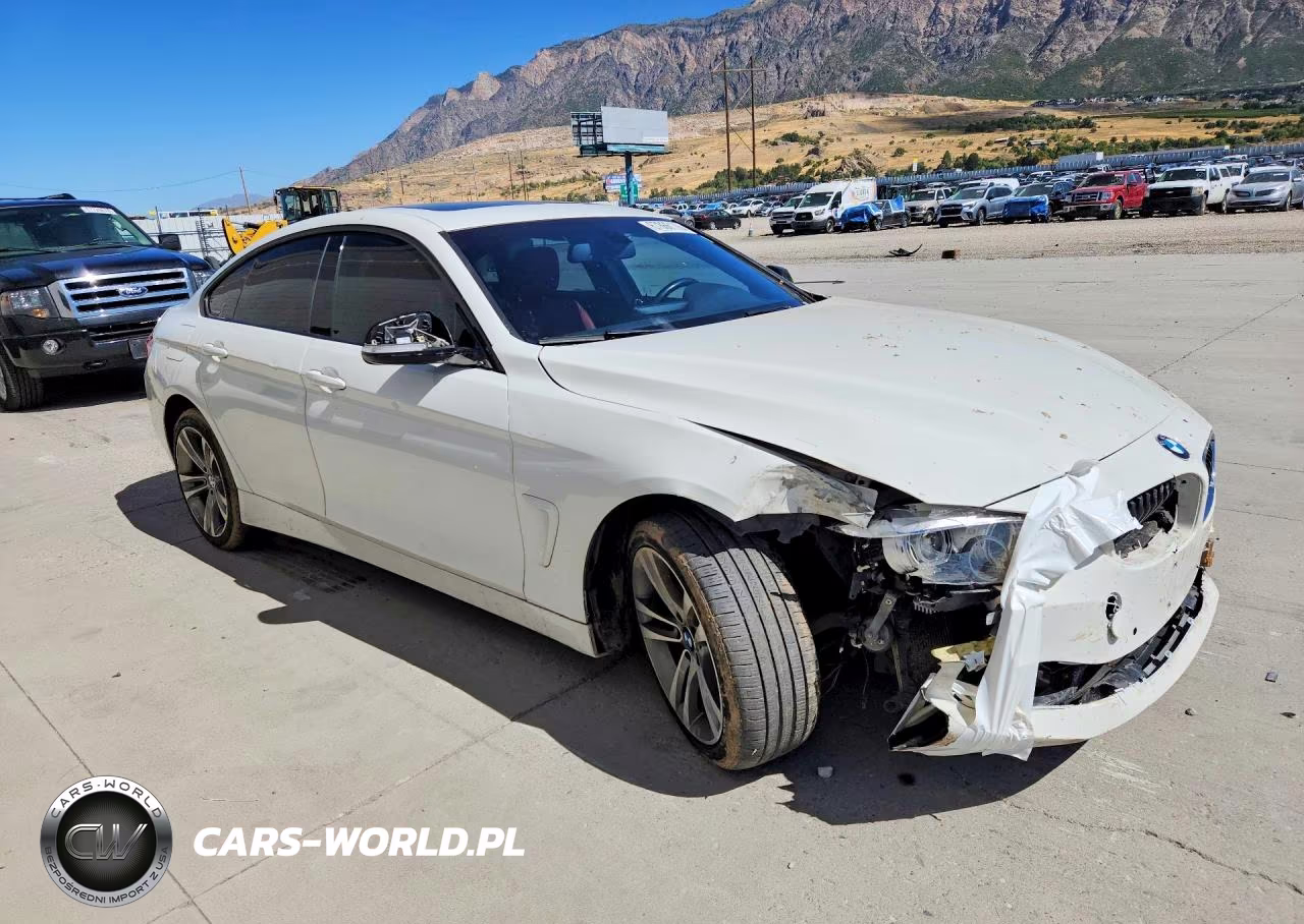 2015 BMW 428 Xi Gran Coupe VIN:WBA4A7C55FD413304 - 4