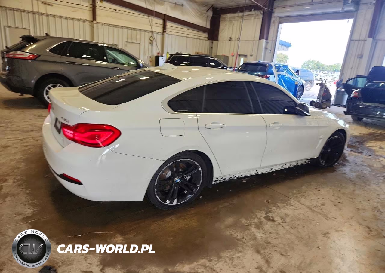 2019 BMW 430I Gran Coupe VIN:WBA4J1C56KBM14559 - 3