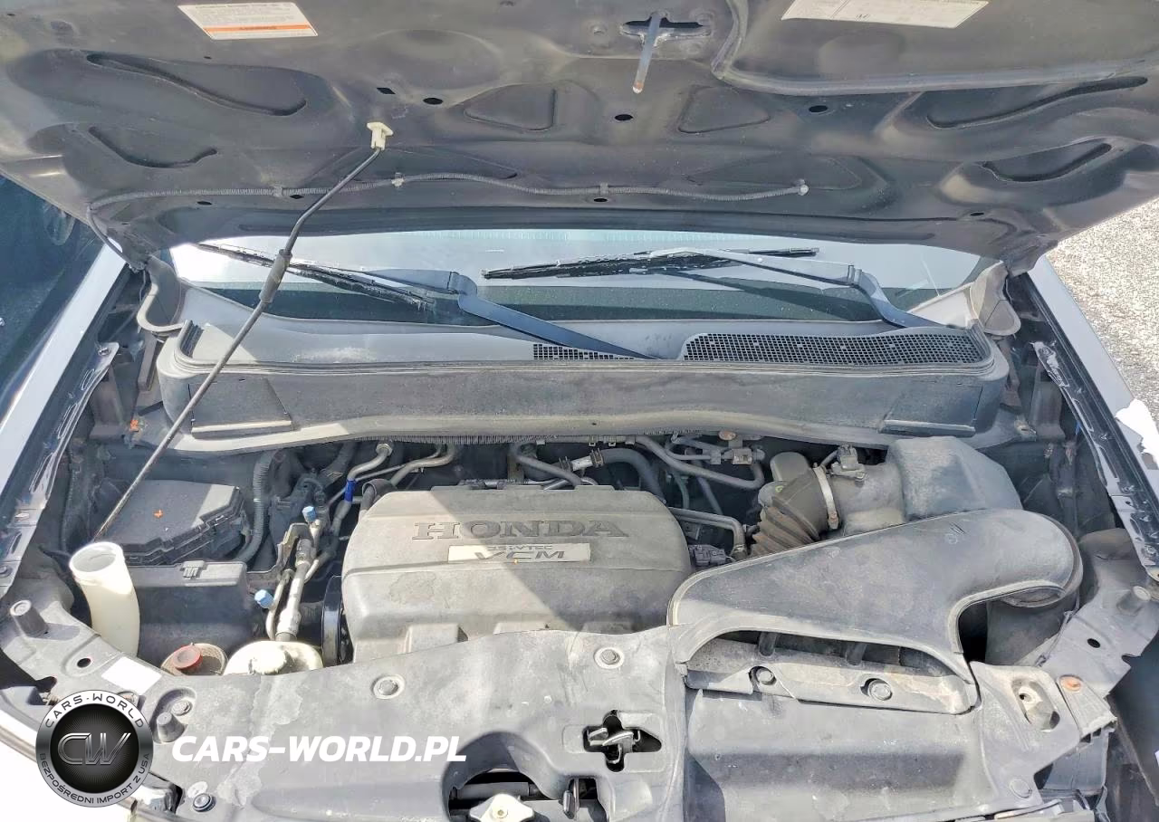 2009 Honda Pilot Exl VIN:5FNYF48599B050743 - 12