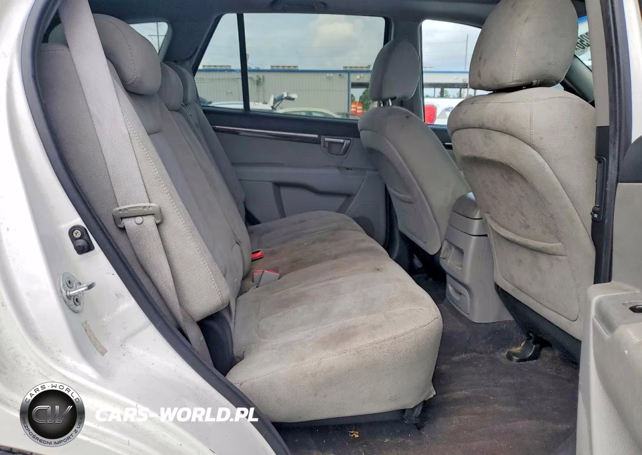 2009 Hyundai Santa Fe Gls VIN:5NMSG13D79H320535 - 11