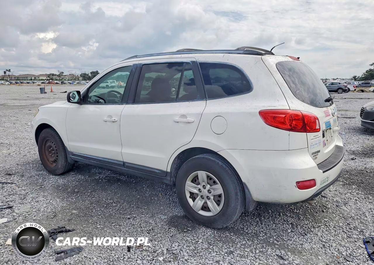 2009 Hyundai Santa Fe Gls VIN:5NMSG13D79H320535 - 2