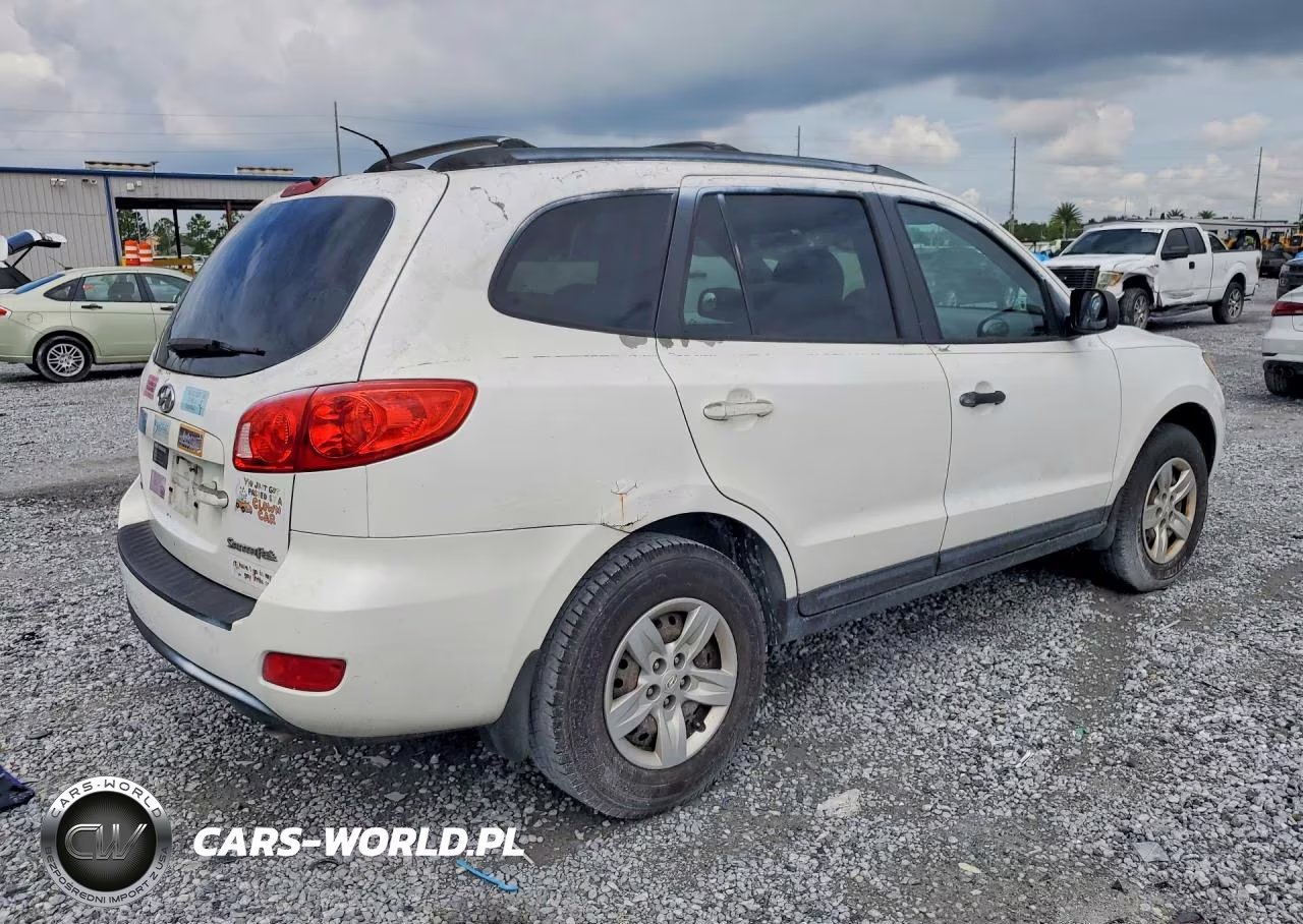 2009 Hyundai Santa Fe Gls VIN:5NMSG13D79H320535 - 3