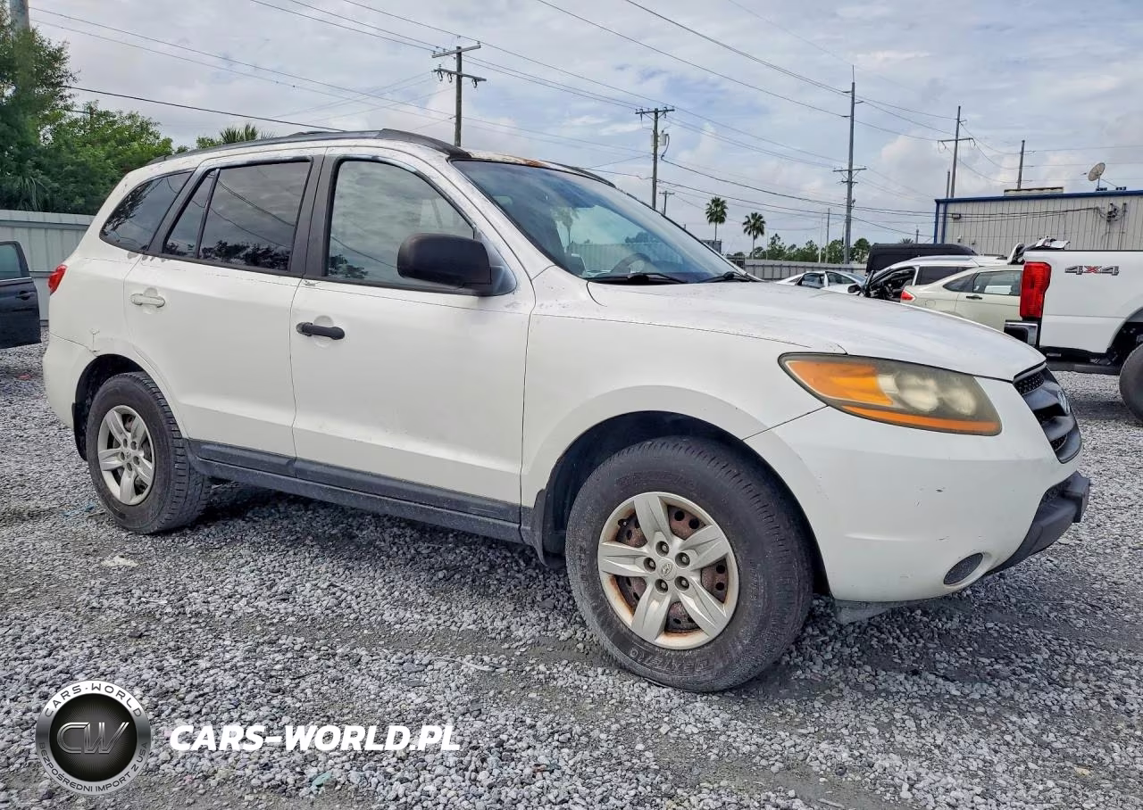 2009 Hyundai Santa Fe Gls VIN:5NMSG13D79H320535 - 4