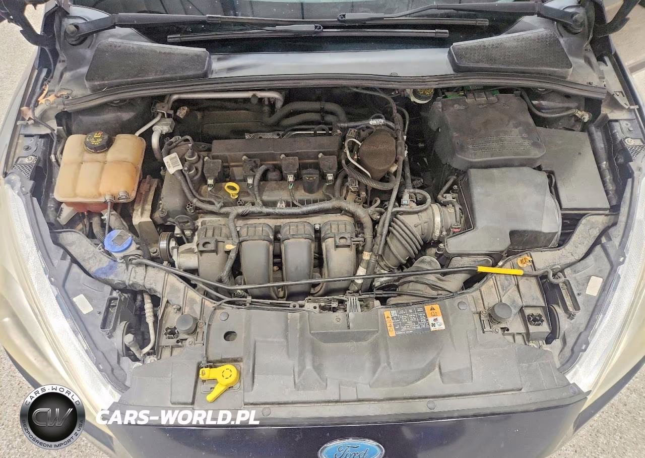 2016 Ford Focus Se VIN:1FADP3K21GL272083 - 11