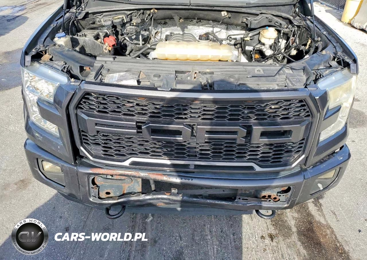 2016 Ford F150 Supercrew VIN:1FTEW1EF8GFC75789 - 11