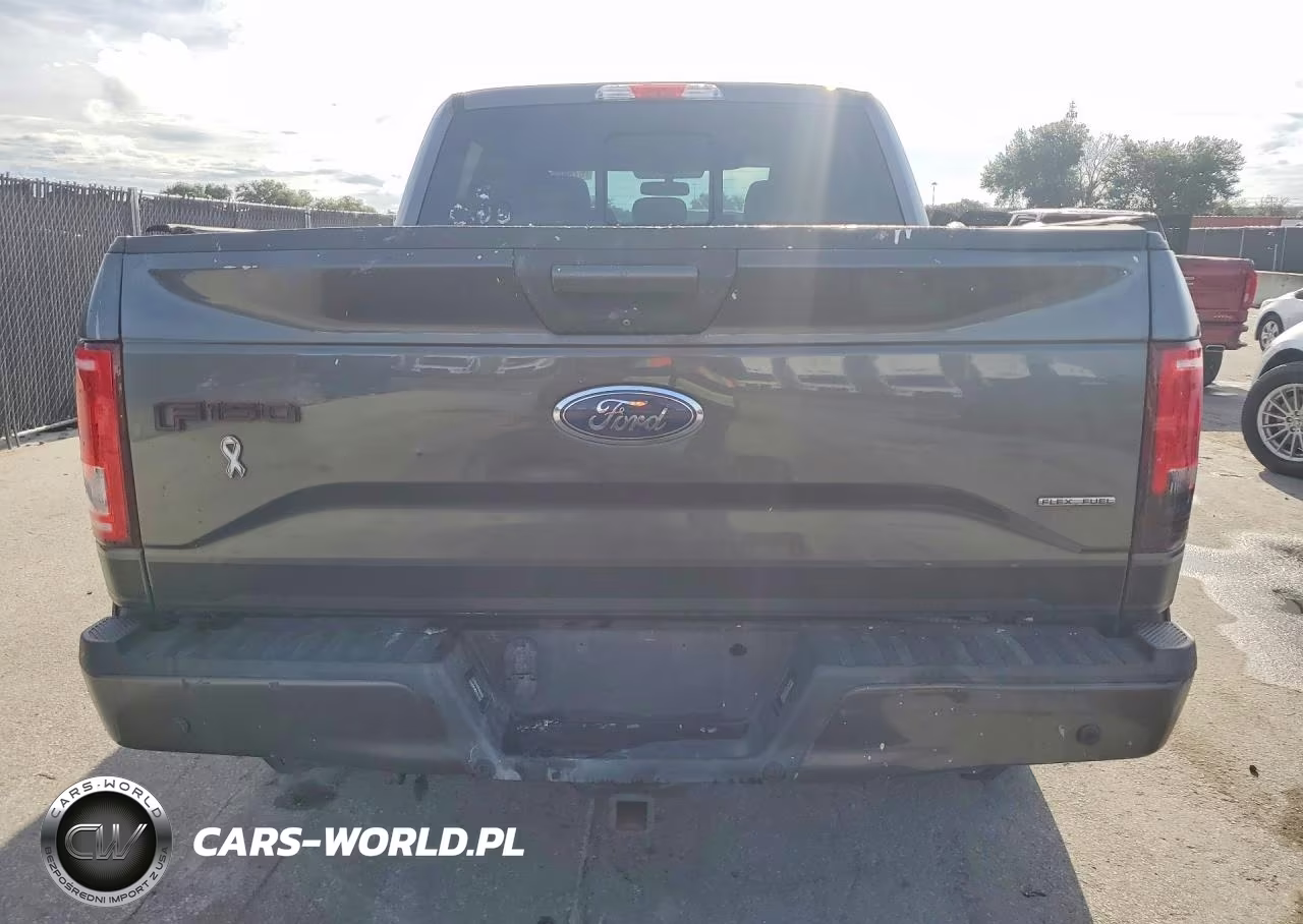 2016 Ford F150 Supercrew VIN:1FTEW1EF8GFC75789 - 6