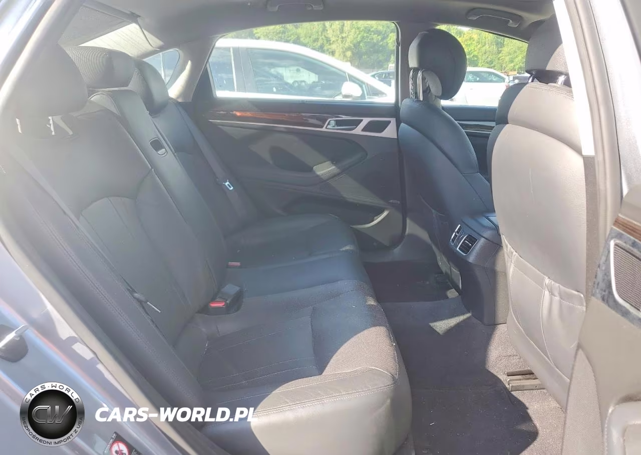 2016 Hyundai Genesis 3.8L VIN:KMHGN4JE0GU122065 - 10