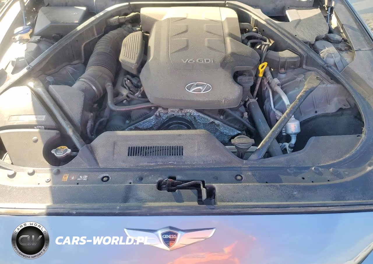 2016 Hyundai Genesis 3.8L VIN:KMHGN4JE0GU122065 - 11